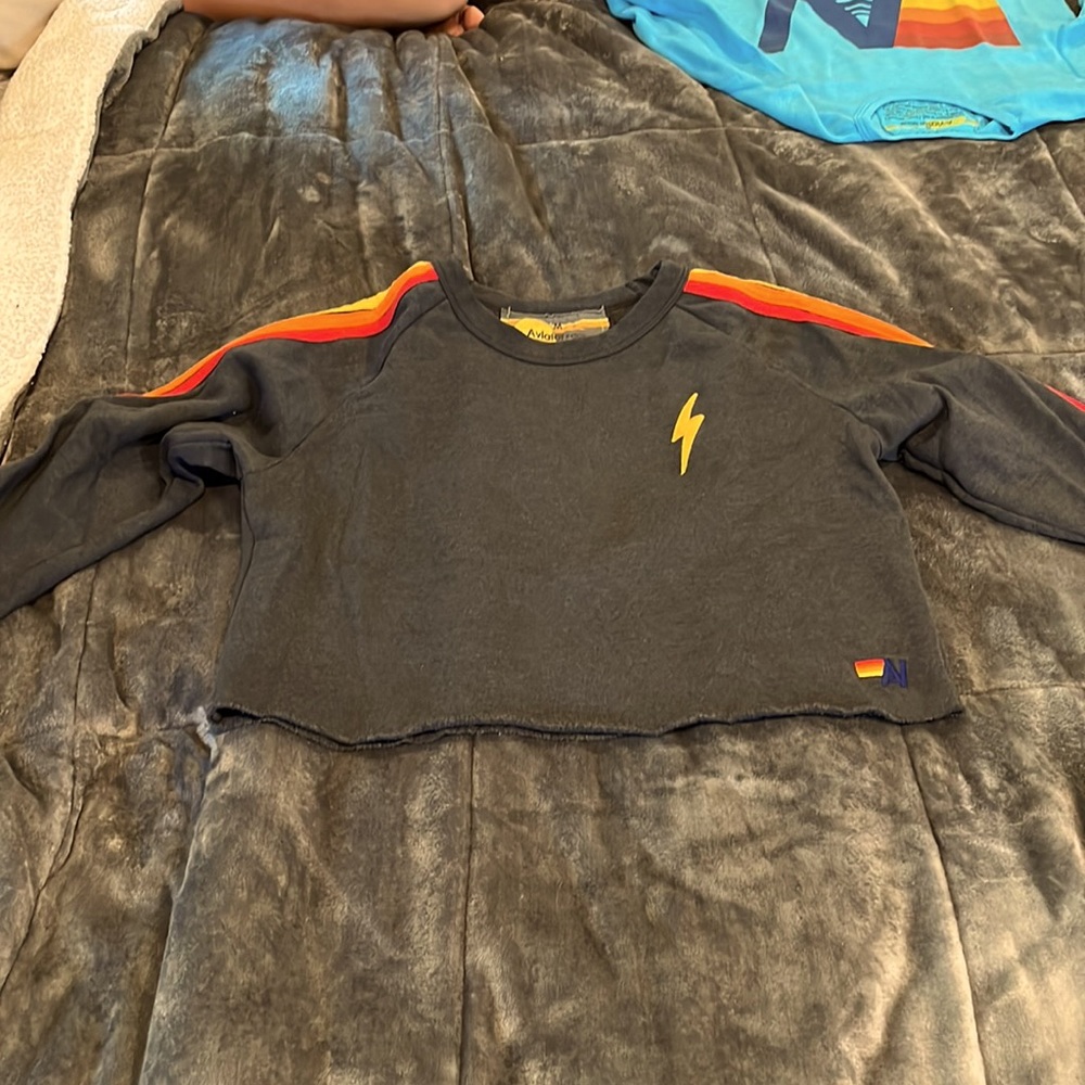 Aviator Nation bolt embroidery classic cropped crew sweatshirt